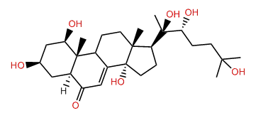 5-alpha-2-Deoxyintegristerone A